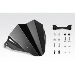 R-0769 : Parabrisas DPM Honda Hornet