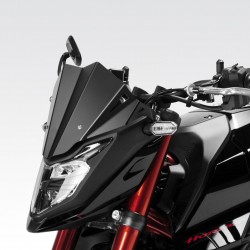 R-0769 : Parabrisas DPM Honda Hornet