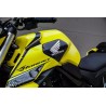 W51H-750 : S2 Concept Tank Protection Honda Hornet