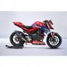 W20H720 : S2 Concept Racing Graphics Kit Honda Hornet