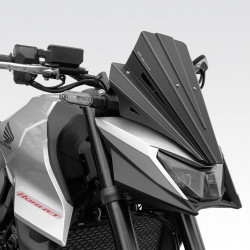 R-01040 : Parabrezza DPM 2025 Honda Hornet