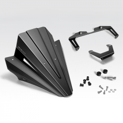 R-01040 : DPM 2025 Windshield Honda Hornet