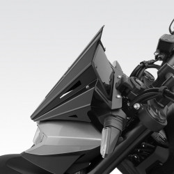 R-01040 : Parabrezza DPM 2025 Honda Hornet