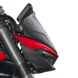 21845 : Aero-Sturmschild Pyramid CB1000 Honda Hornet 21845 : Aero-Sturmschild Pyramid CB1000 Honda Hornet