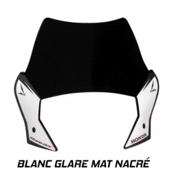 BHS2.XXX : S2 Concept Windshield Honda Hornet