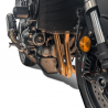18536 : Evotech Performance Lower Engine Case Protection Honda Hornet